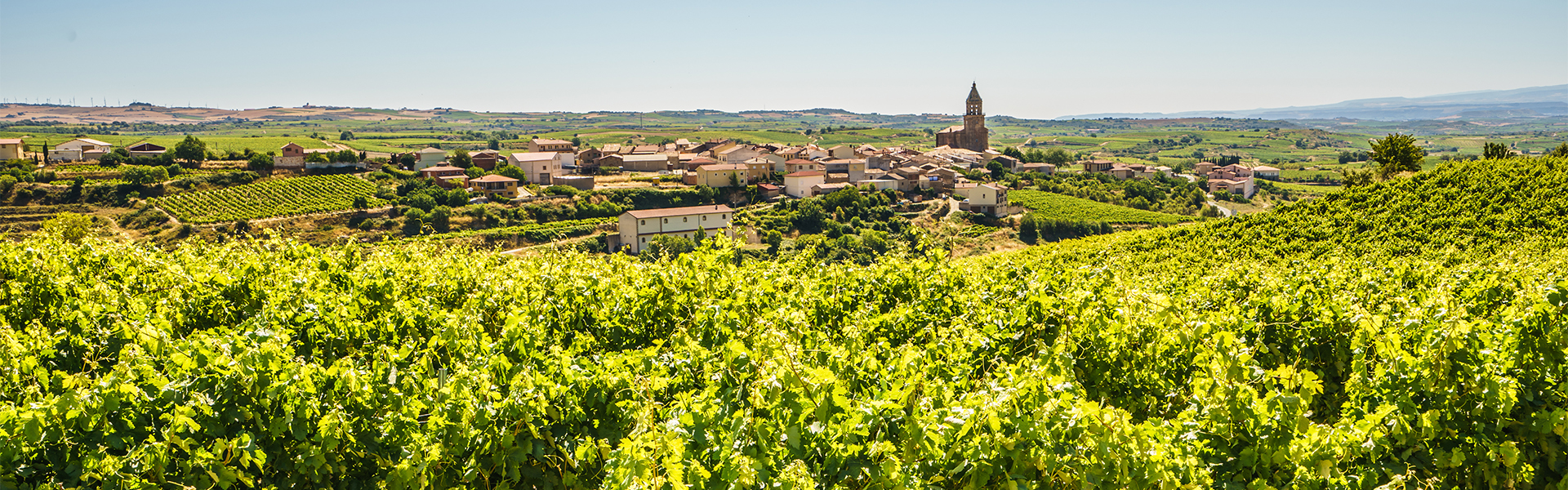 DARREN DARNBOROUGH, image size:1920x600