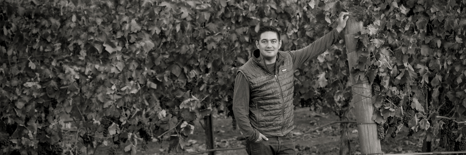 Robert Parker The Wine Advocate