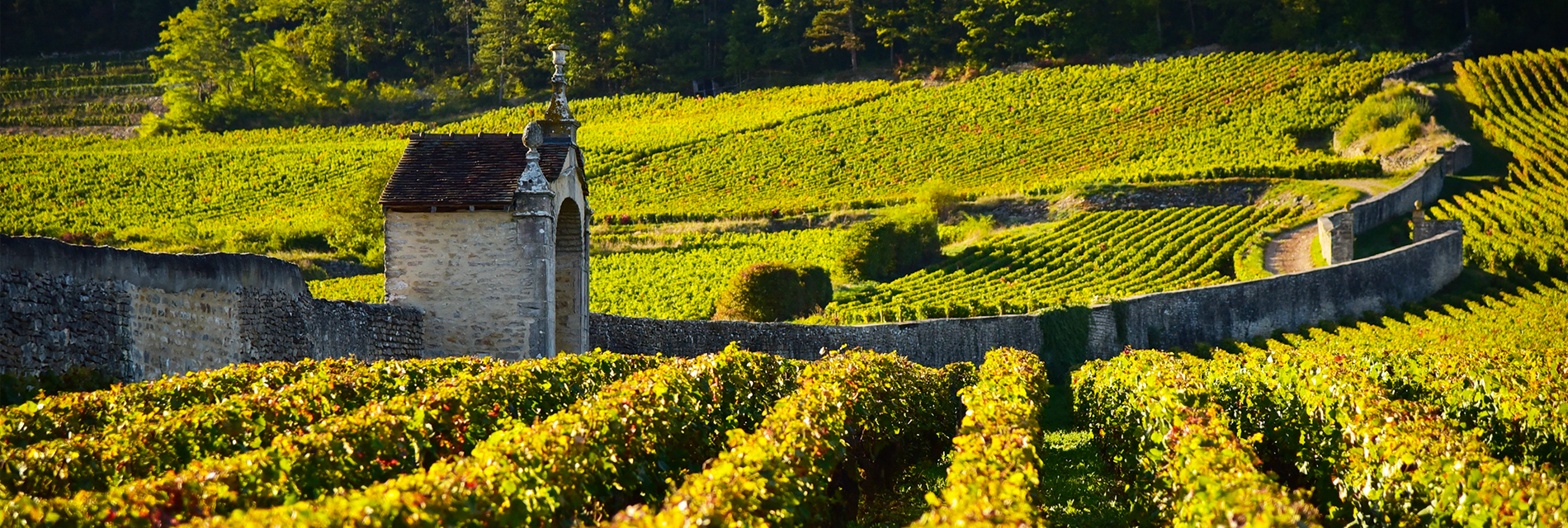 Robert Parker Wine Advocate