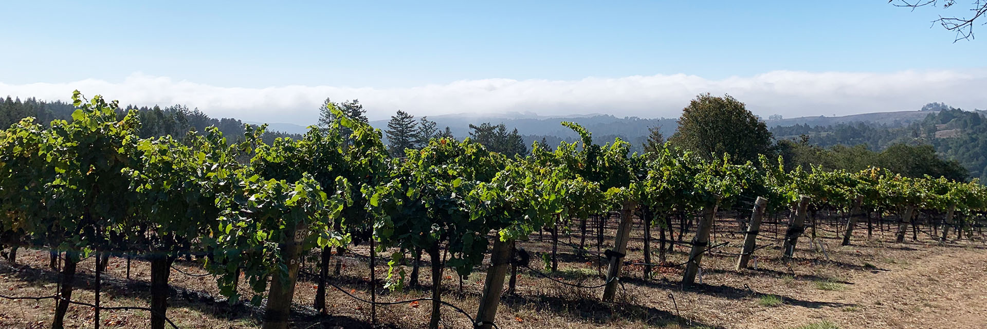 Robert Parker Wine Advocate