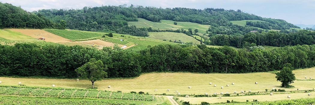 Robert Parker - France, Jura: Better (and More Dynamic) Than